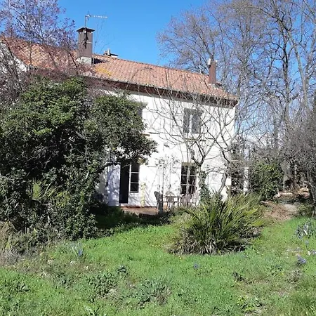 L'apicasa De Bassan